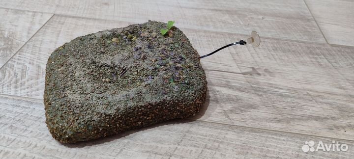 Островок для черепах