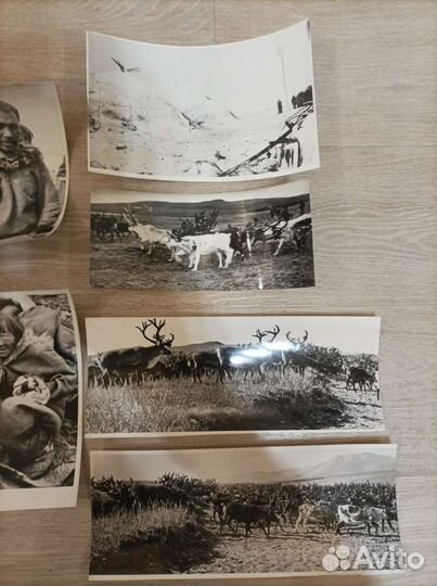 Фотографии дальнего севера