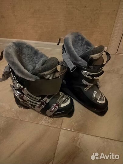 Горные лыжи fischer vision tempest 150