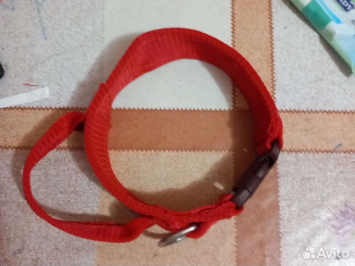 Ошейники,шлейки, павадоки,вадилки