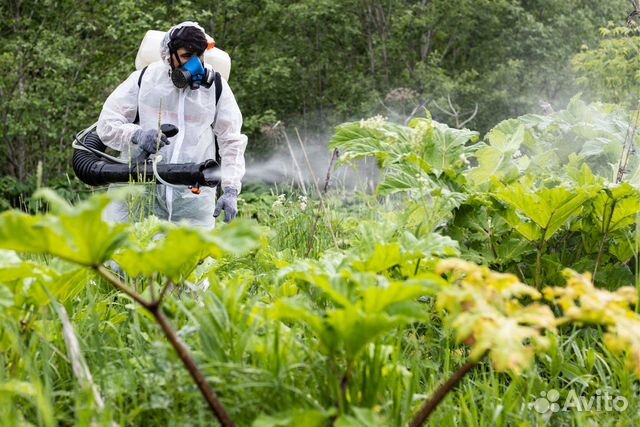 Рабочий зеленого хозяйства