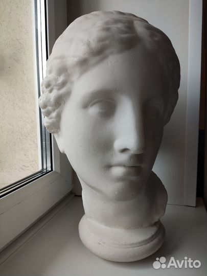 Гипсовая голова Афродиты