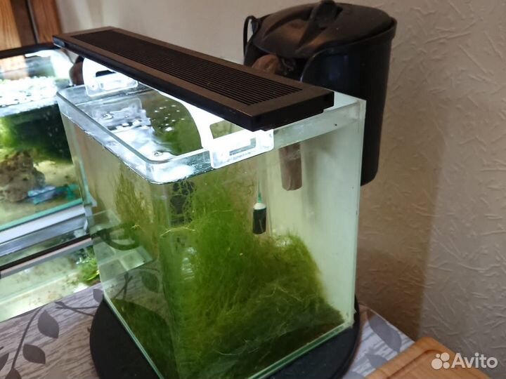 Аквариум с наполнением