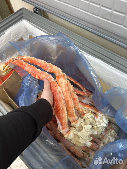 Краб Камчатский 2024