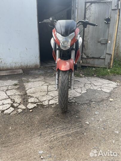 Racer RC250CK-N