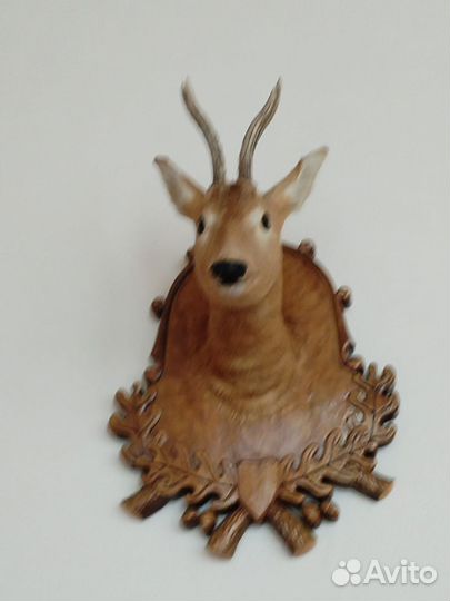 Чучело головы косули