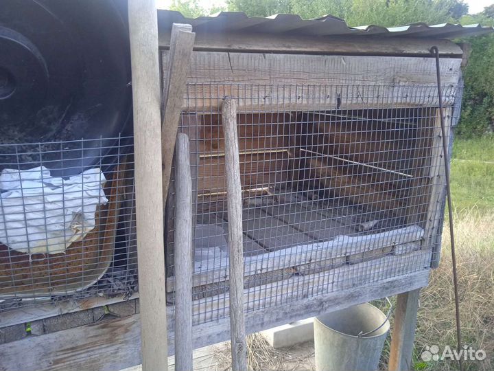 Клетка для кролика