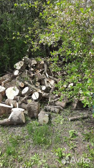 Отдам дрова (самовывоз)