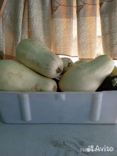 Хоста овощи