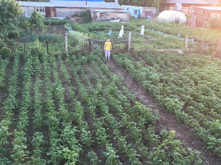 Дом 85 м² на участке 10 сот.