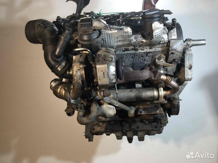 Двигатель VW Golf, 2008, диз. 2.0, CBA