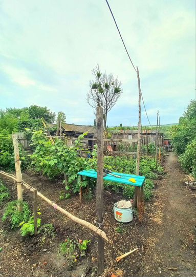 Участок 11 сот. (ИЖС)