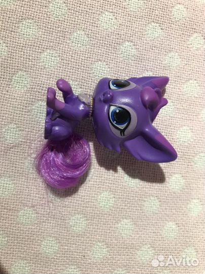 Шиммер, Шайн, питомец Париса, зеркало