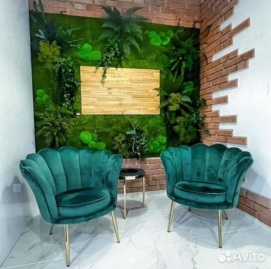 Фитостена фитокартина панно из мха мох стабилизиро