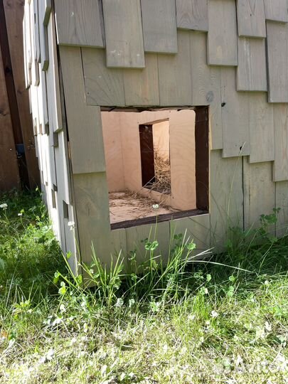 Будка для собаки