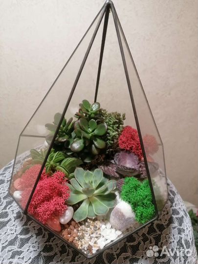 Флорариумы