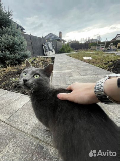 Тротуарная плитка Propress с гарантией от 120 м2