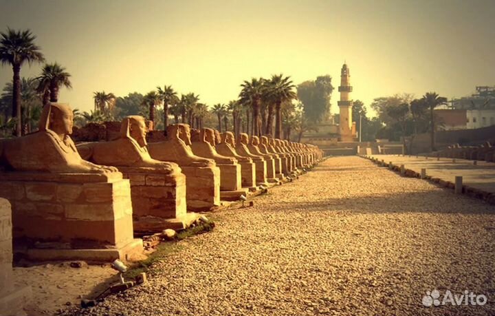 Путевочка в Egypt от 6 дн