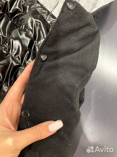 Одежда для собак