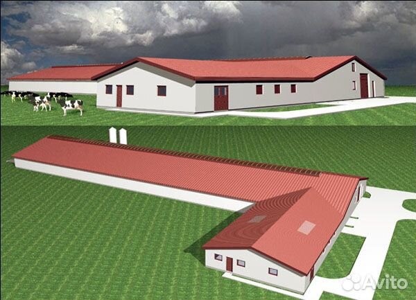 Проект фермы крс готовый