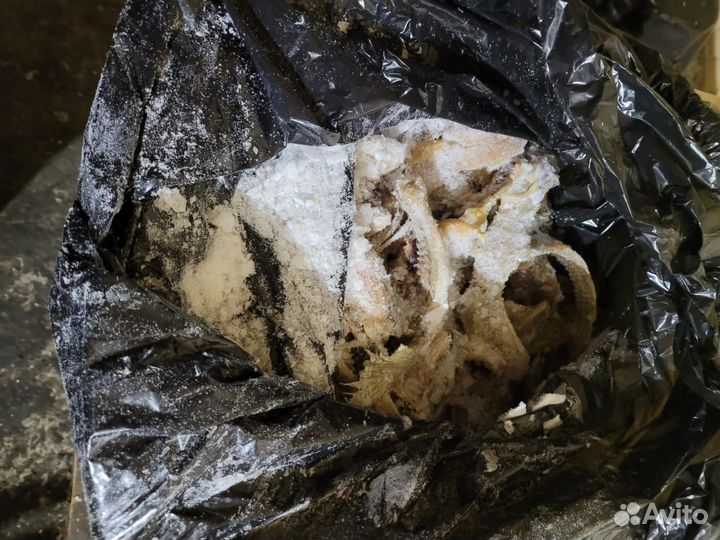 Корма для животных