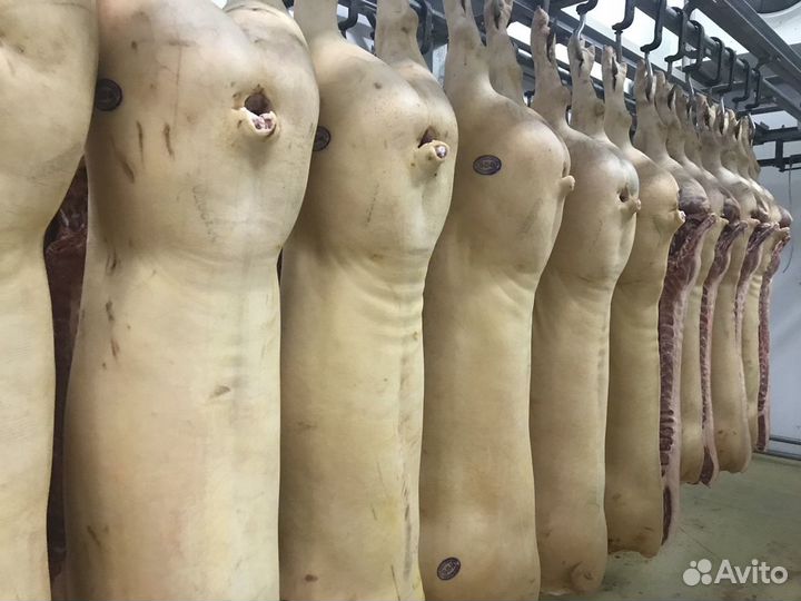 Мельниково. Мясо свинина в полутушах