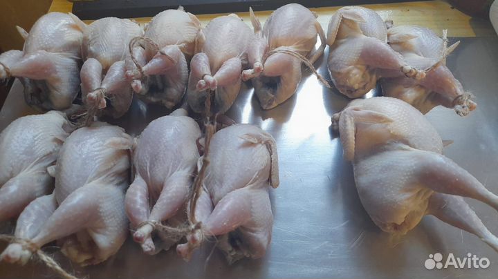 Мясо перепелов свежие