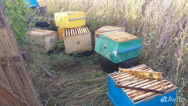 Улей для пчел