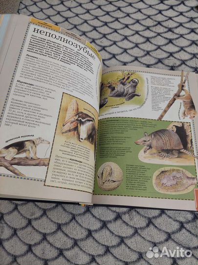 Большая энциклопедия животного мира