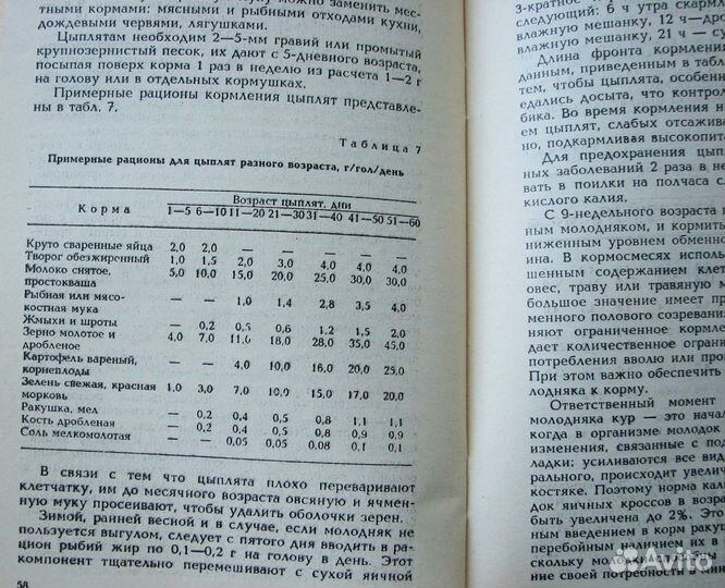 Шпиц И. Выращивание птицы в домашних условиях