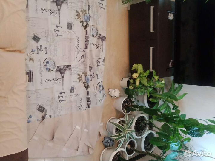 Шторы, наволочки и плед, комплект