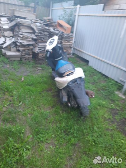 Рейсер лупус 125