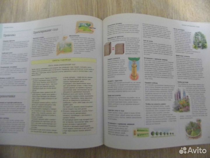 1000 советов и идей для вашего сада