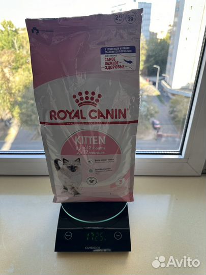 Royal canin для котят (сухой, 1.725 кг)