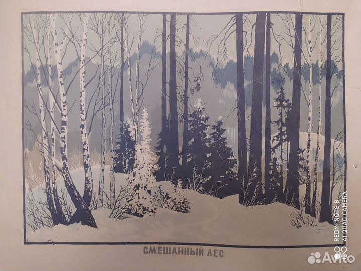 Линогравюры коллекция СССР. редкость