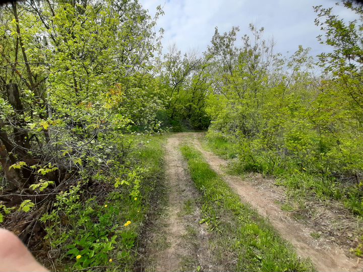 Участок 7,4 сот. (ИЖС)