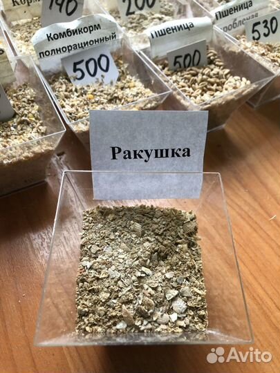 Ракушка кормовая