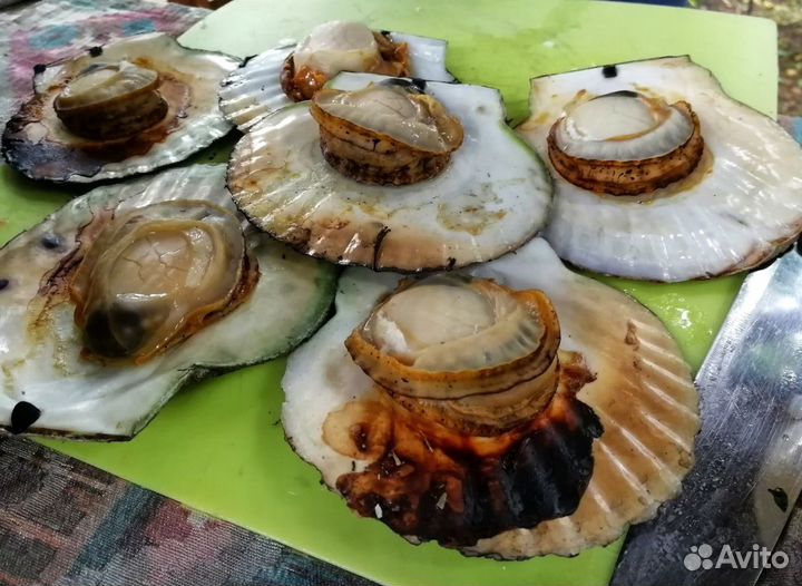 Кемпинг у моря Приморский край