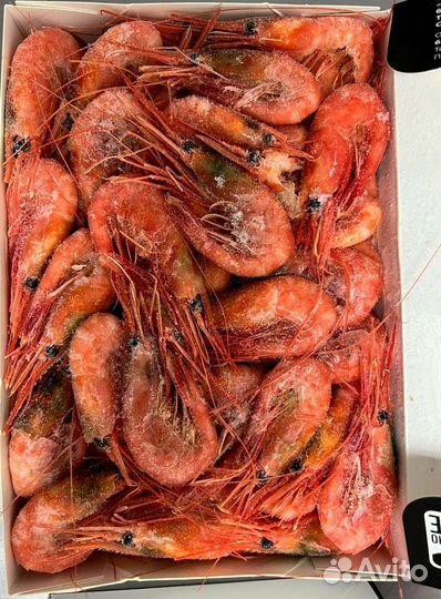 Оптом Креветки