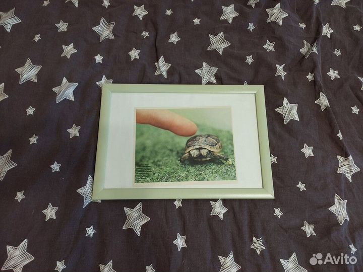 Рамки для фото большие