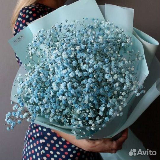 Букет из цветной Гипсофилы 5шт