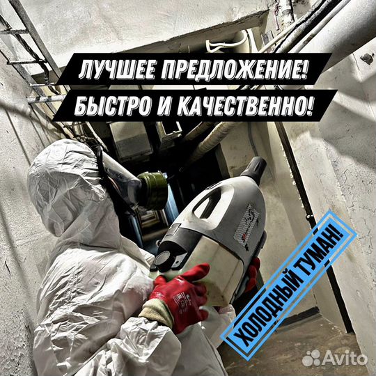 Уничтожение клопов и тараканов