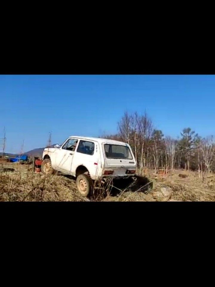 ВАЗ (LADA) 4x4 (Нива): фото владельца