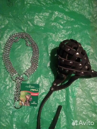 Ошейник, намордник, поводок