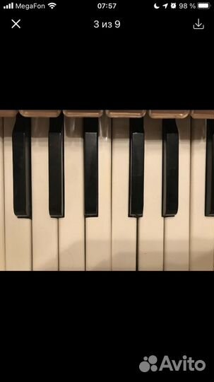 Концертный аккордеон Montana royalstandart