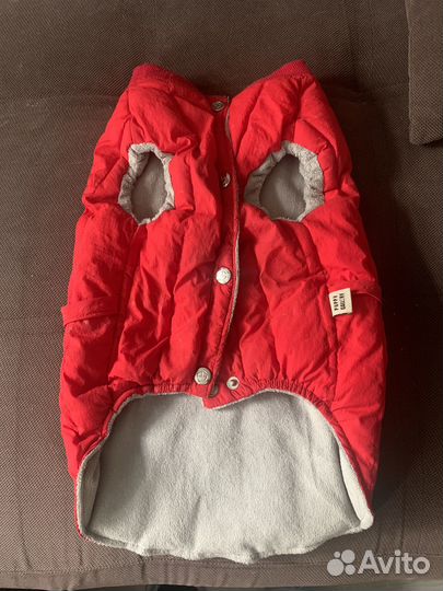 Комбинезон для собаки средних размеров