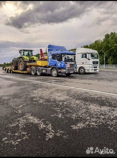 Каток грунтовый услуги