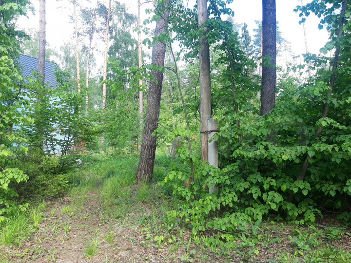 Участок 21 сот. (ИЖС)