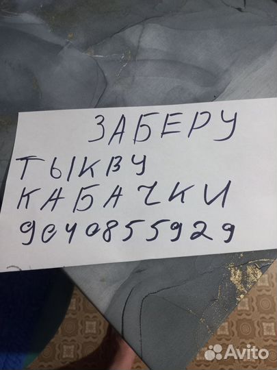 Товары для животных