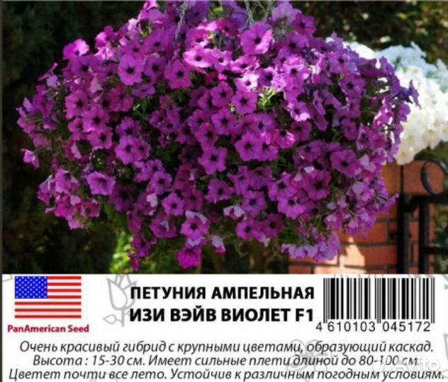 Профессиональные семена ампельной петунии